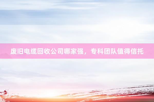 废旧电缆回收公司哪家强，专科团队值得信托